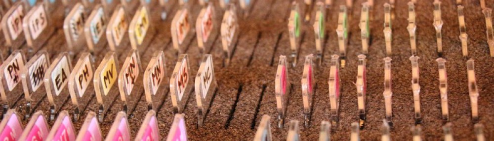 La memoire cellulaire